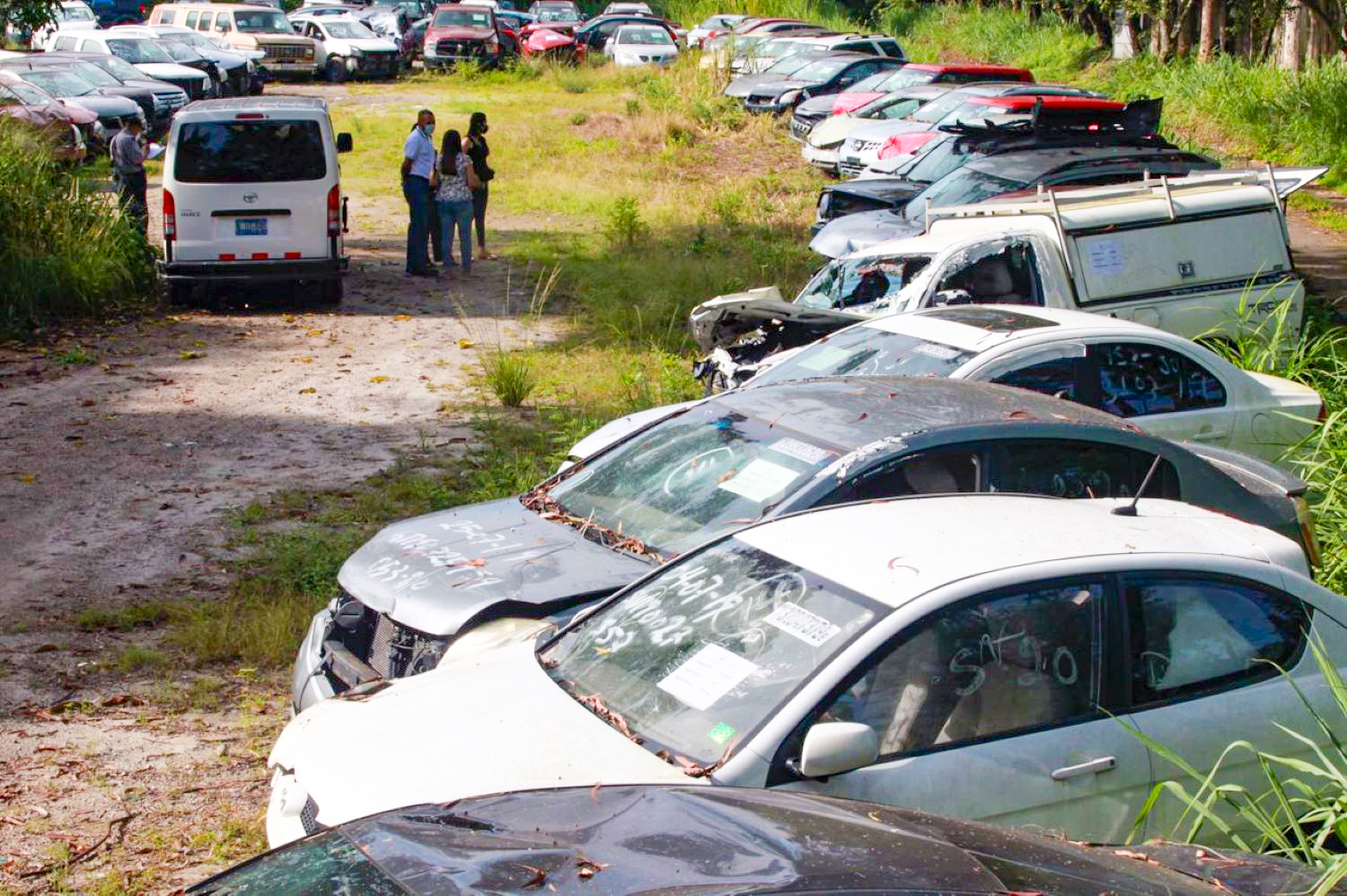 Pago De Impuestos De Vehiculos Costa Rica