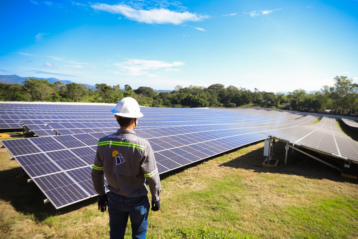 Inauguran Nueva Planta De Energía Solar Que Abastecerá A Más De 11 Mil Viviendas