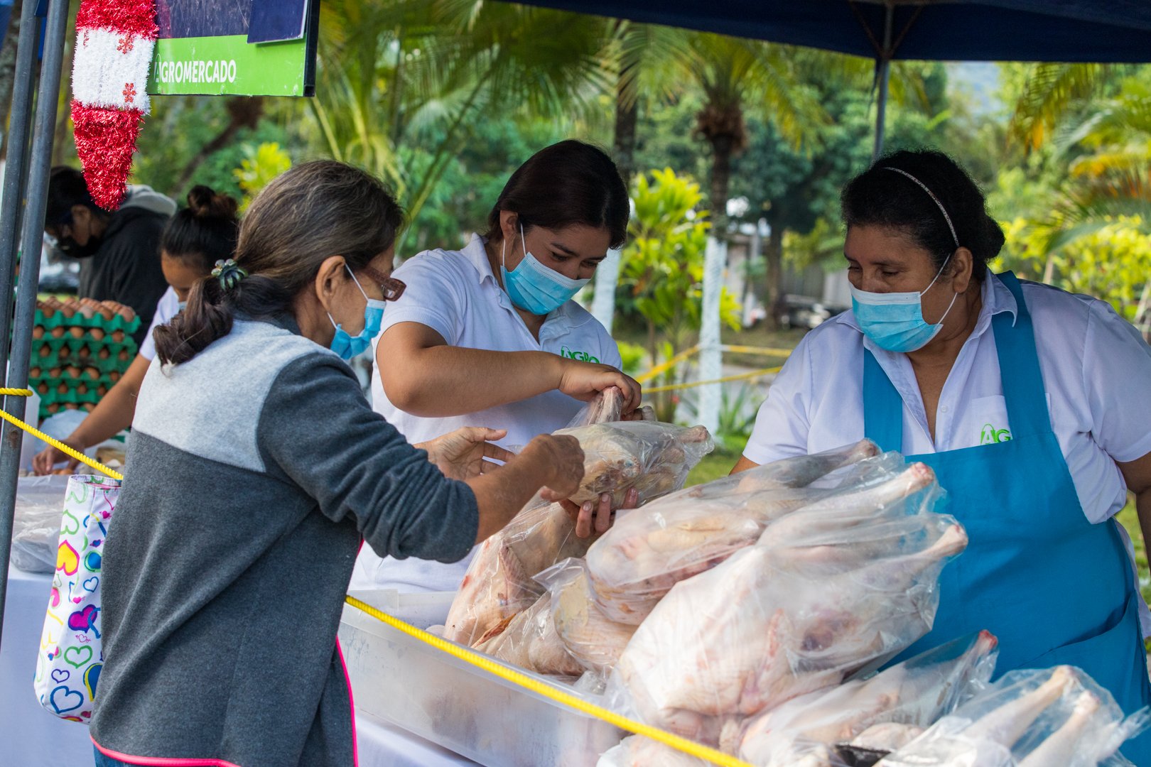 Inauguran 9 AgroMercados Estratégicos En Diferentes Puntos Del País