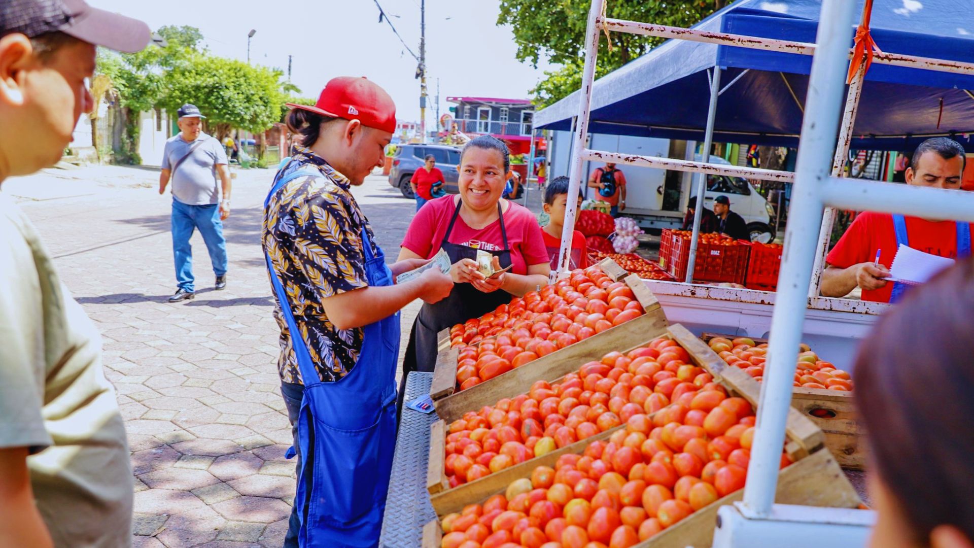 Agro markets will be open every day, starting today
 2024-07-16 20:33:45