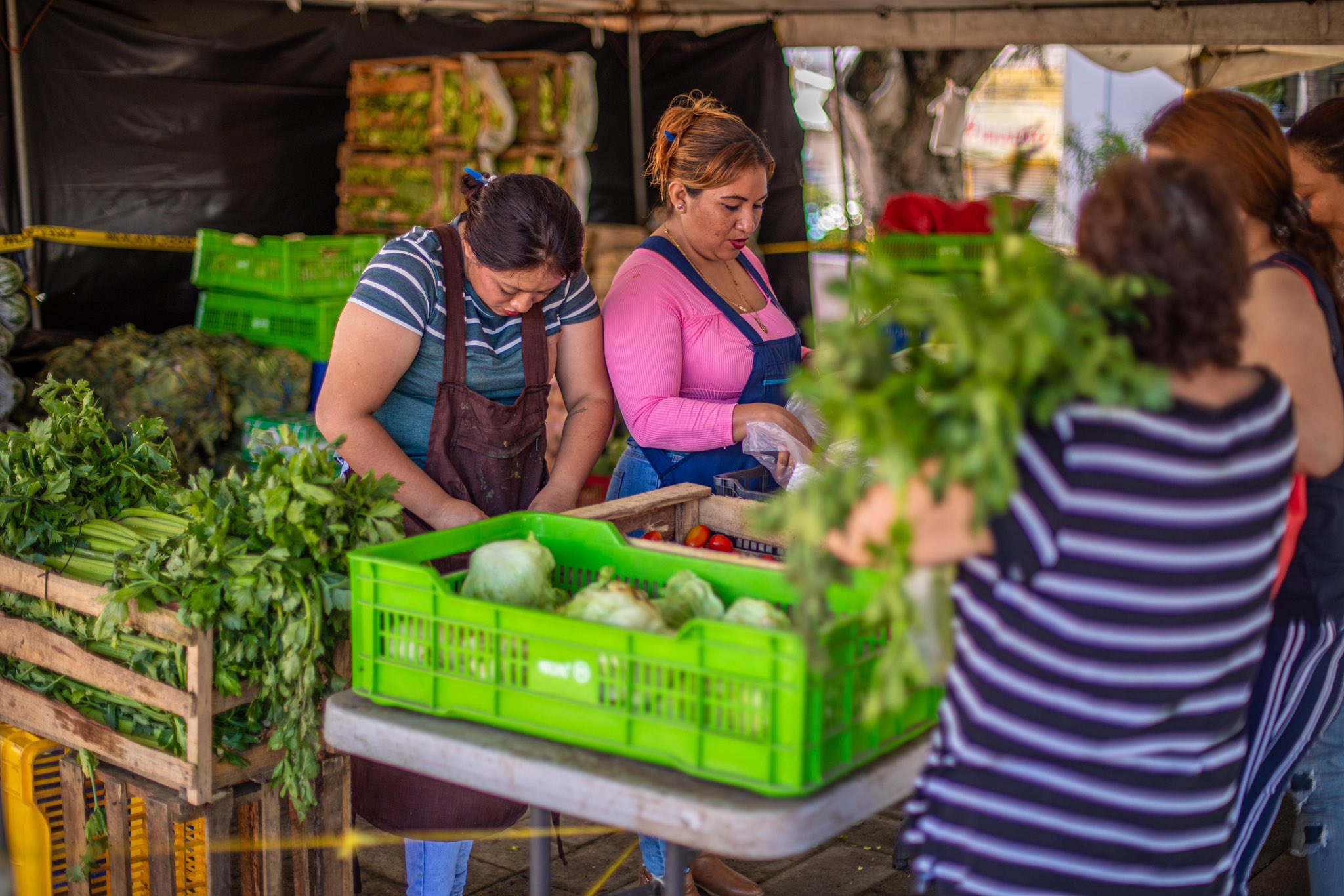 Foreign producers show interest in entering Salvadoran agricultural markets
 2024-07-18 09:34:59